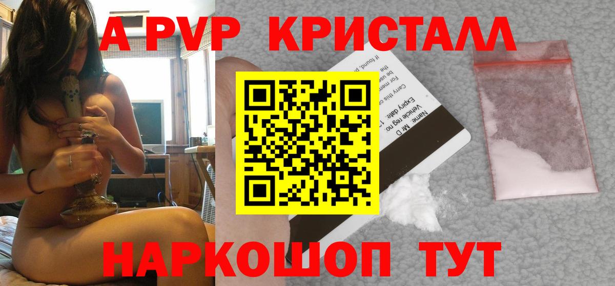 Альфа ПВП СК КРИС Камень-на-Оби