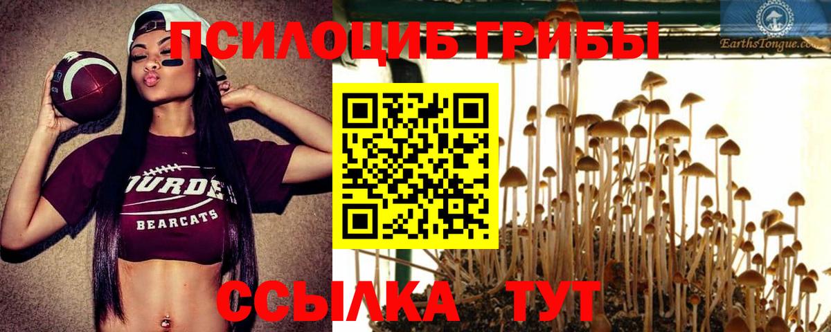 Галлюциногенные грибы ЛСД Камень-на-Оби