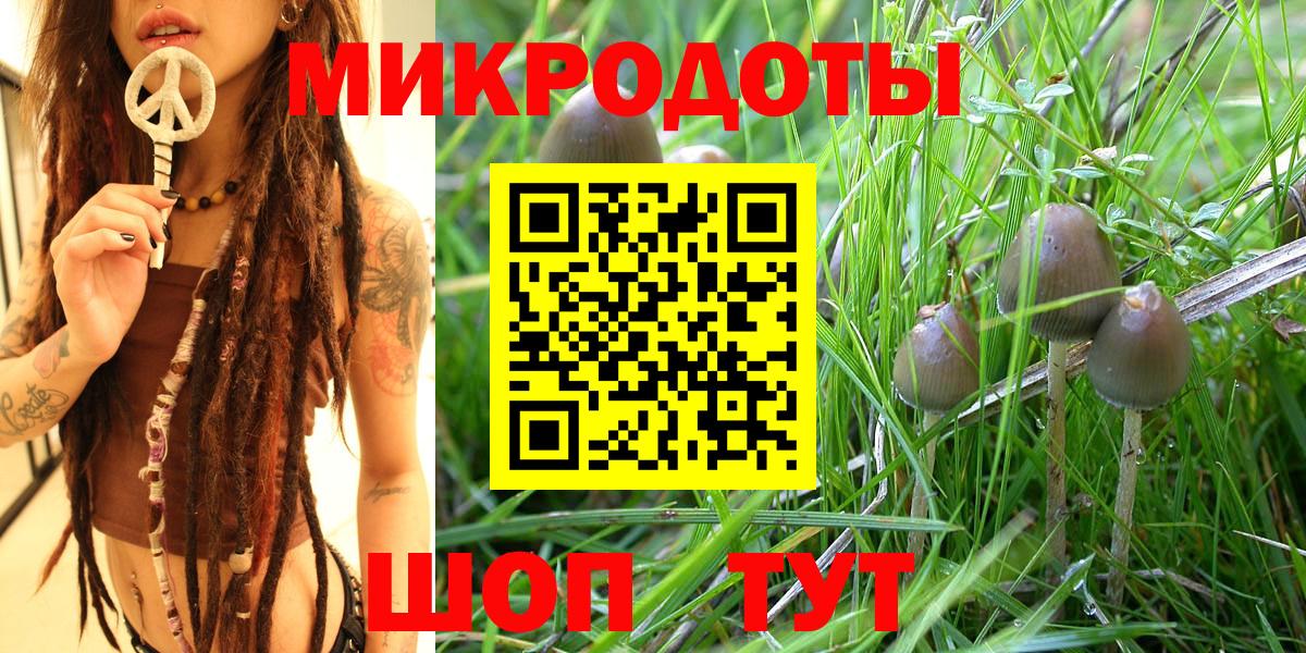 Галлюциногенные грибы мицелий  Вход с VPN  Галлюциногенные грибы Magic Shrooms  Камень-на-Оби 
